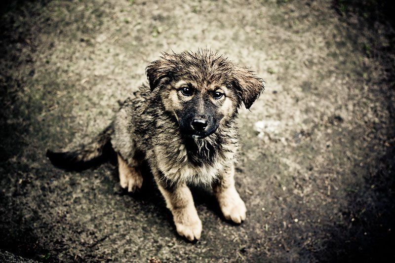 Ну возмите меня ...photo preview