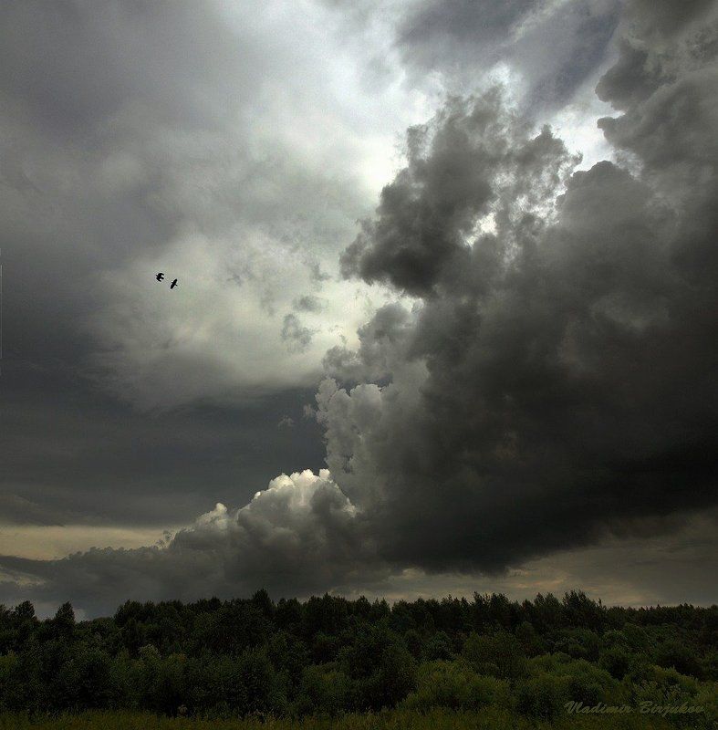 Поединок...photo preview