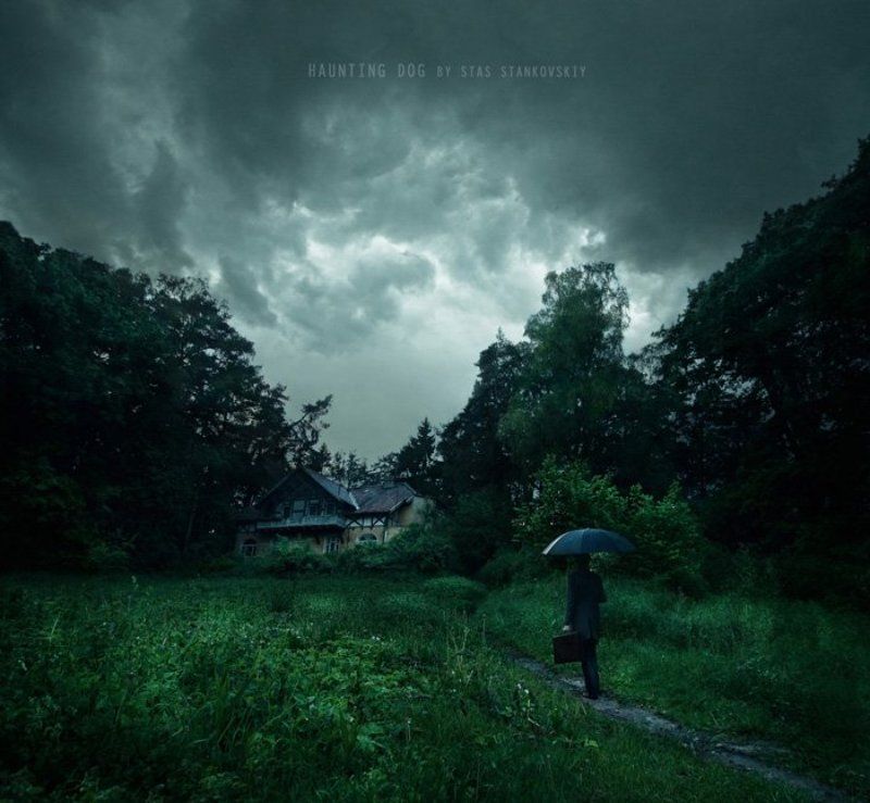 Haunting Dogphoto preview