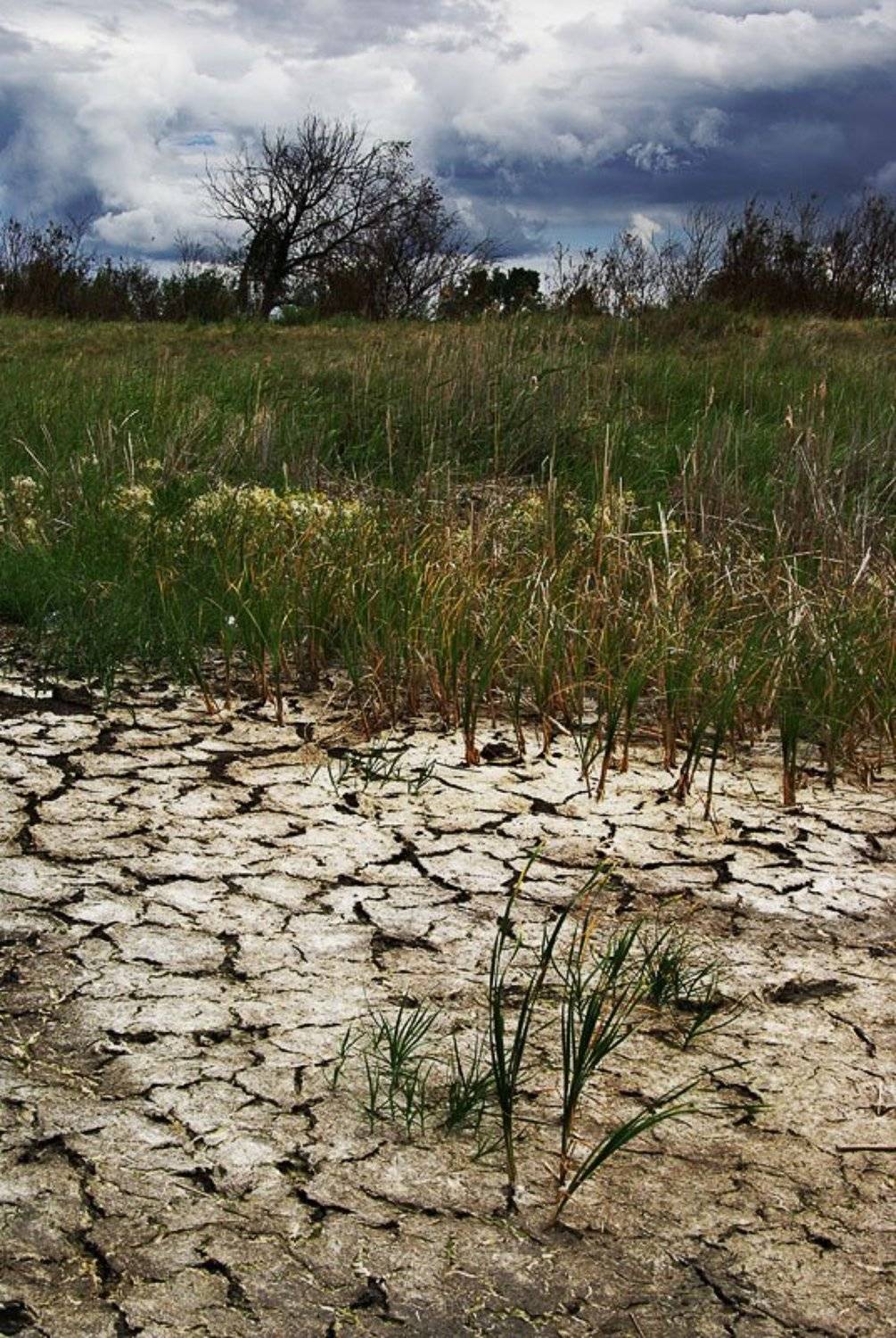 На дне озера. Автор: Руденко Олег природа, зауралье, дно, озеро, фотограф, руденко, олег, Руденко Олег