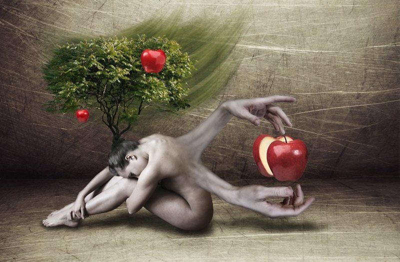 яблонькаphoto preview