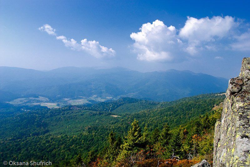 С обрываphoto preview