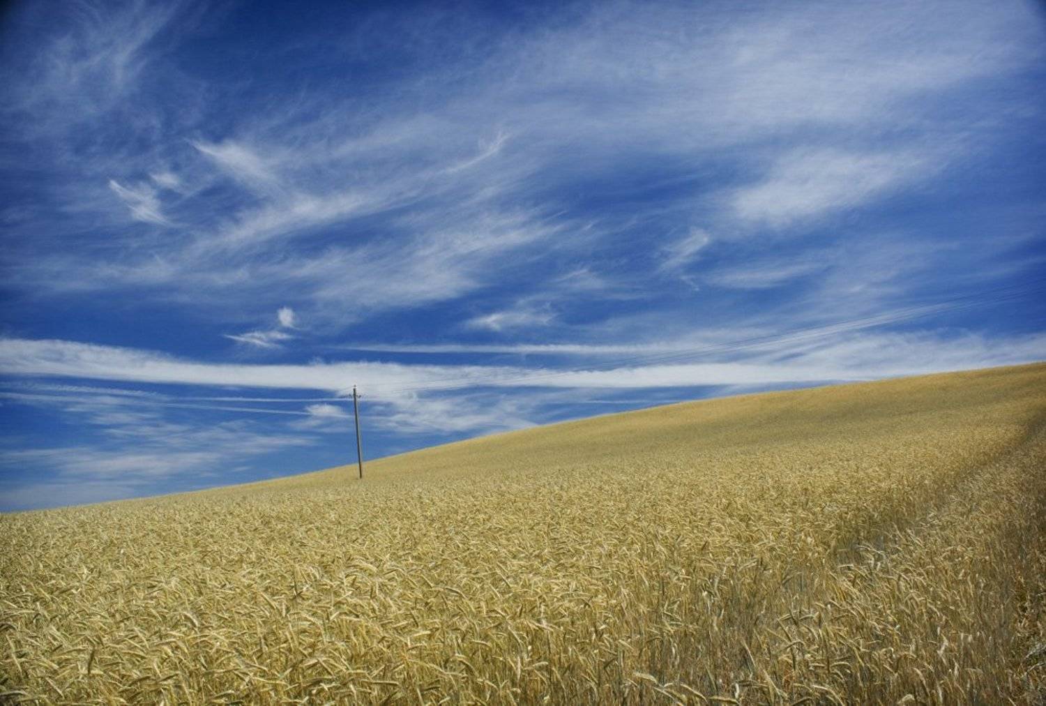 лето, июнь, пенза, Демид Рожков