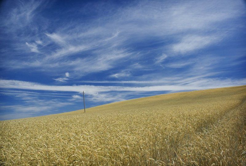 лето, июнь, пенза безмятежностьphoto preview