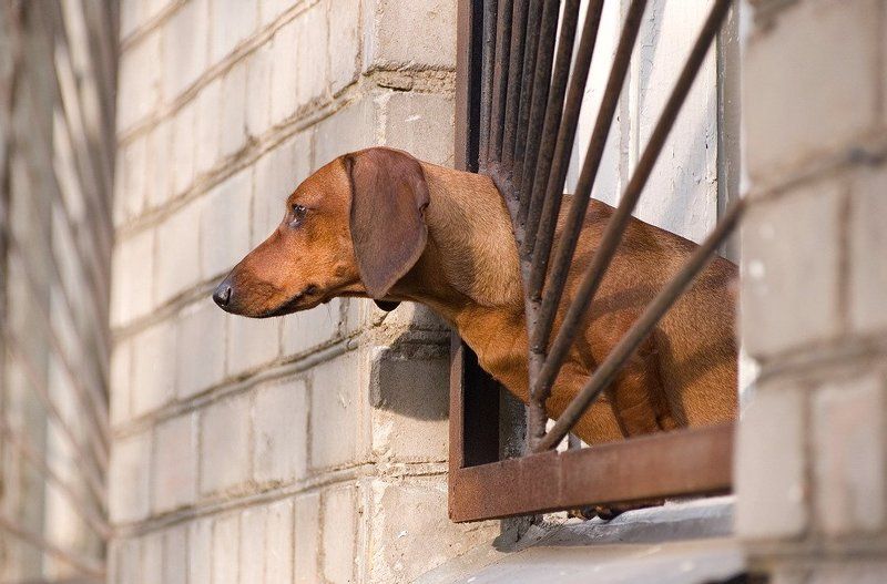 не свободаphoto preview