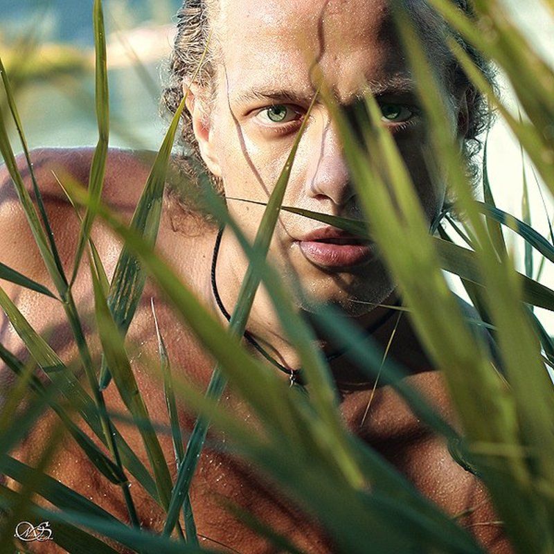 wild hunterphoto preview