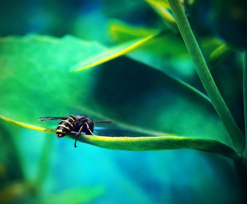 Цветочный креативphoto preview