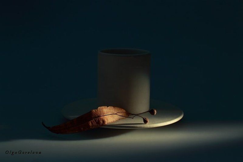 натюрморт, веточка, фото *** фото превью