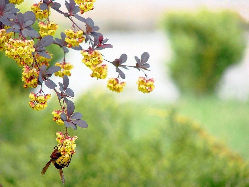 Этюд с Осphoto preview