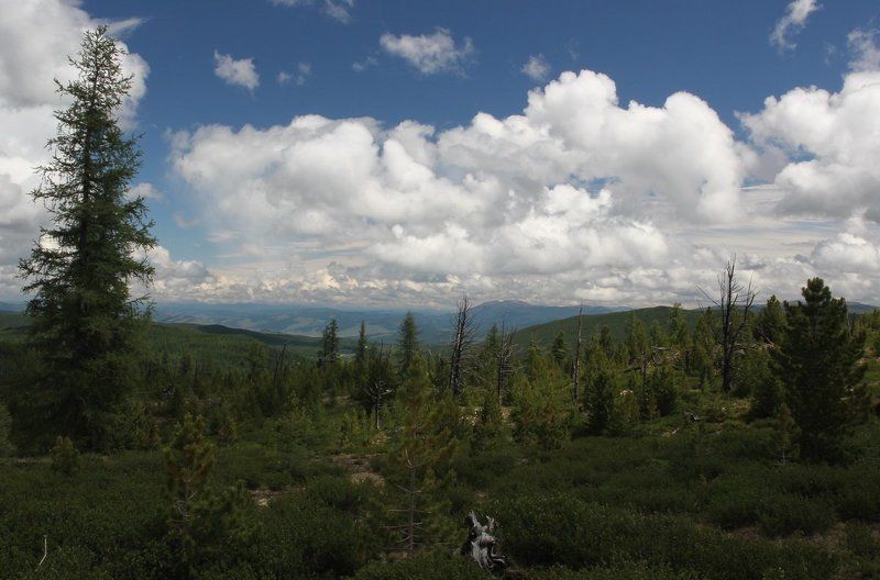 На Улаганском перевале.Облака.photo preview