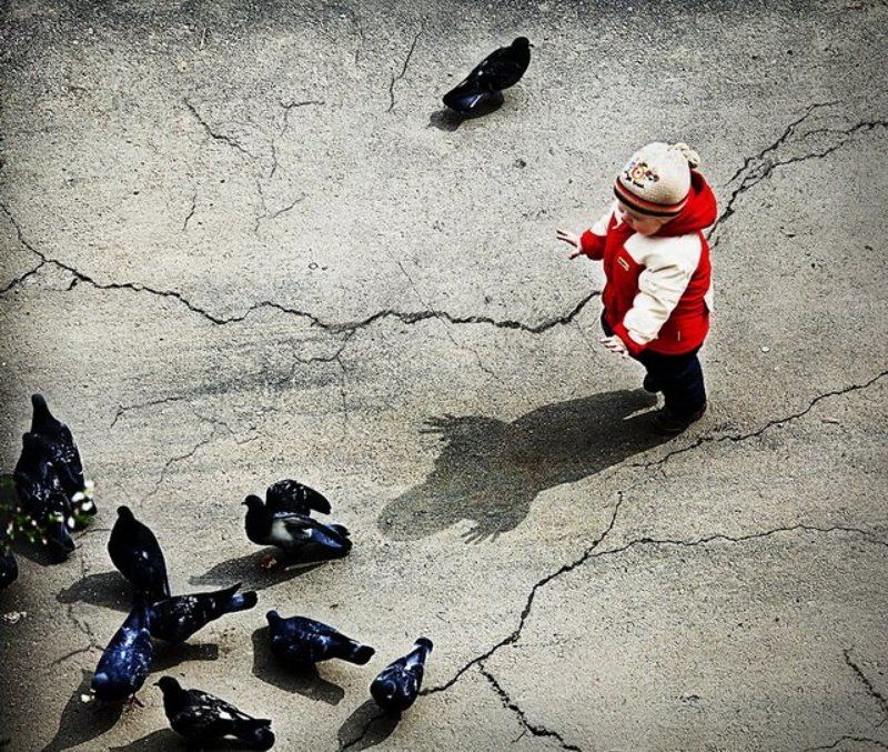 Волшебникphoto preview