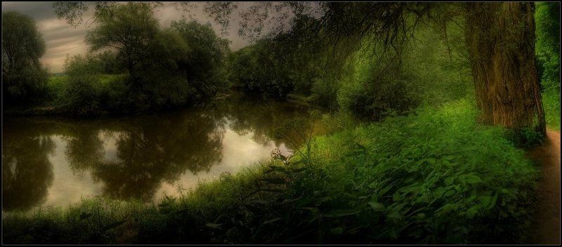 .........photo preview