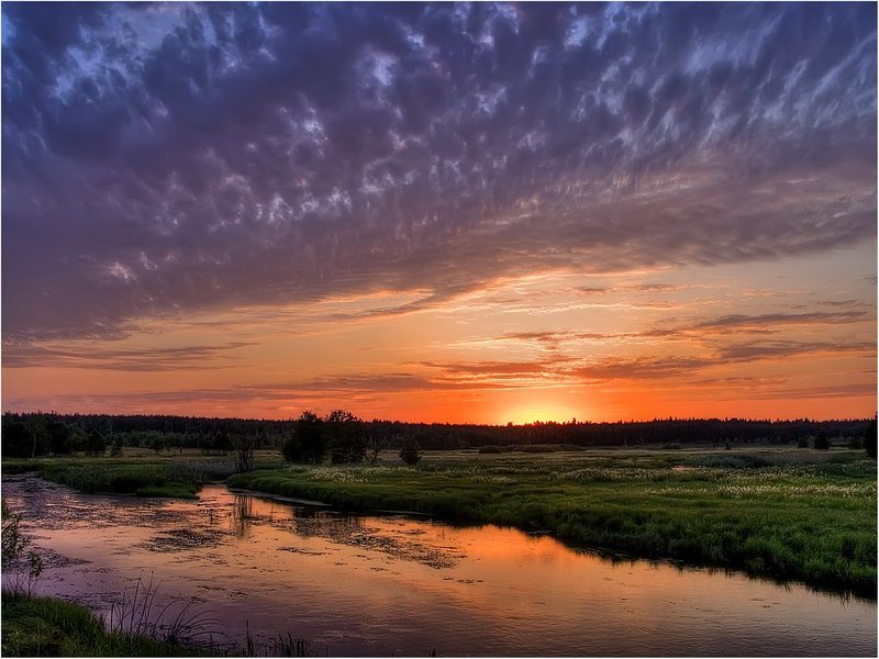Утро Мещеры фото превью