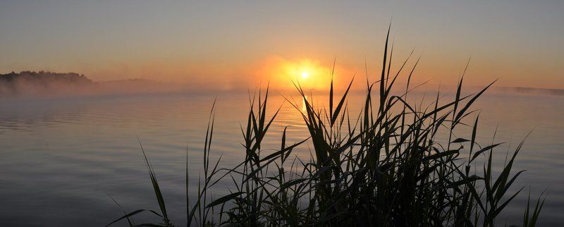 сенеж, озеро, рассвет, утро, солнце, вода, туман Озерный рассветphoto preview