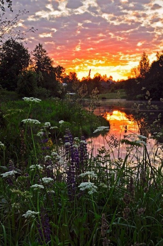 краски небаphoto preview