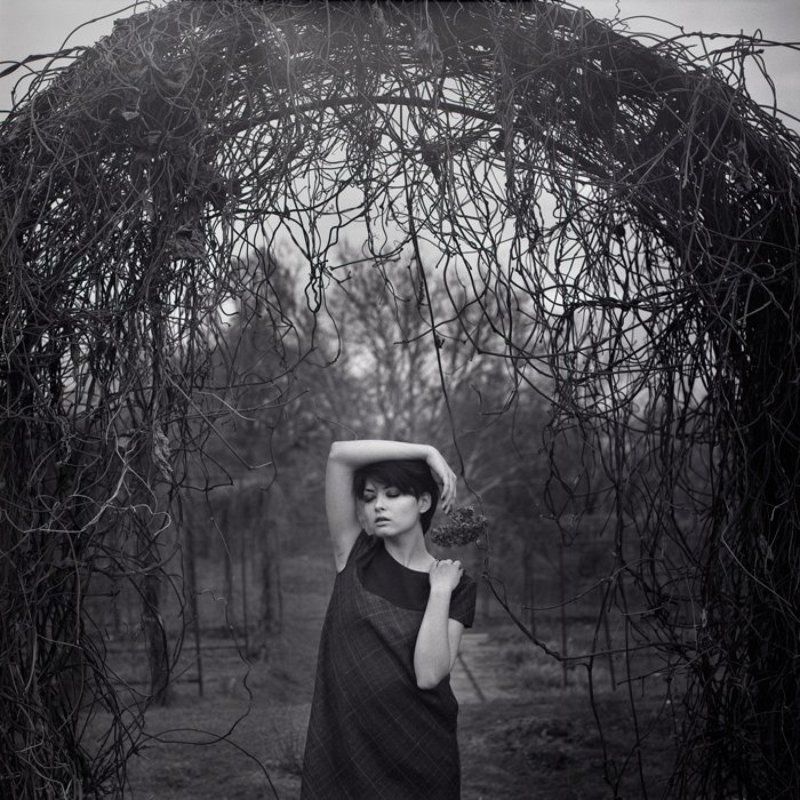 6х6 осінніми квітами проростаючи_2photo preview