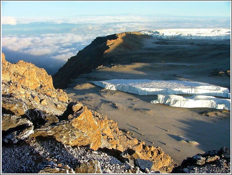 В поисках леопардаphoto preview