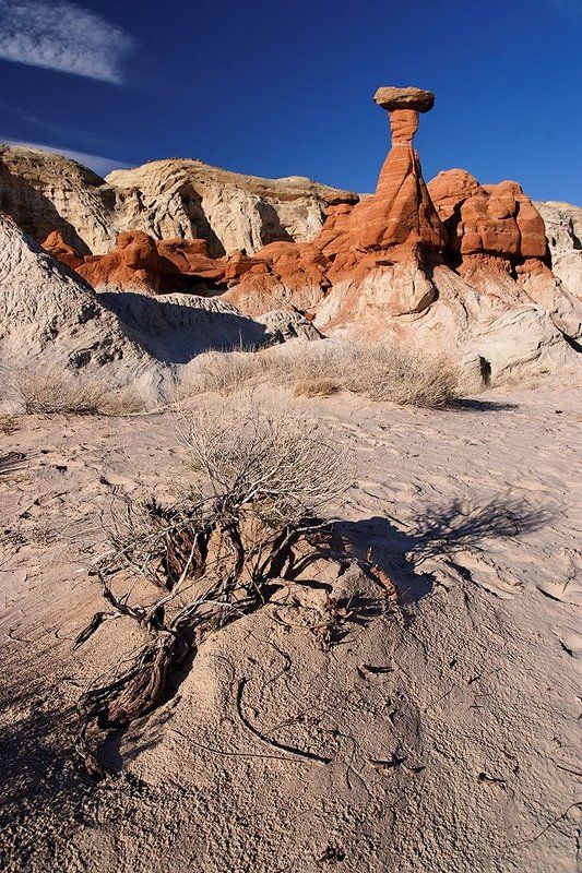 худус, большая лестница, юта, сша, 2010 Худусphoto preview