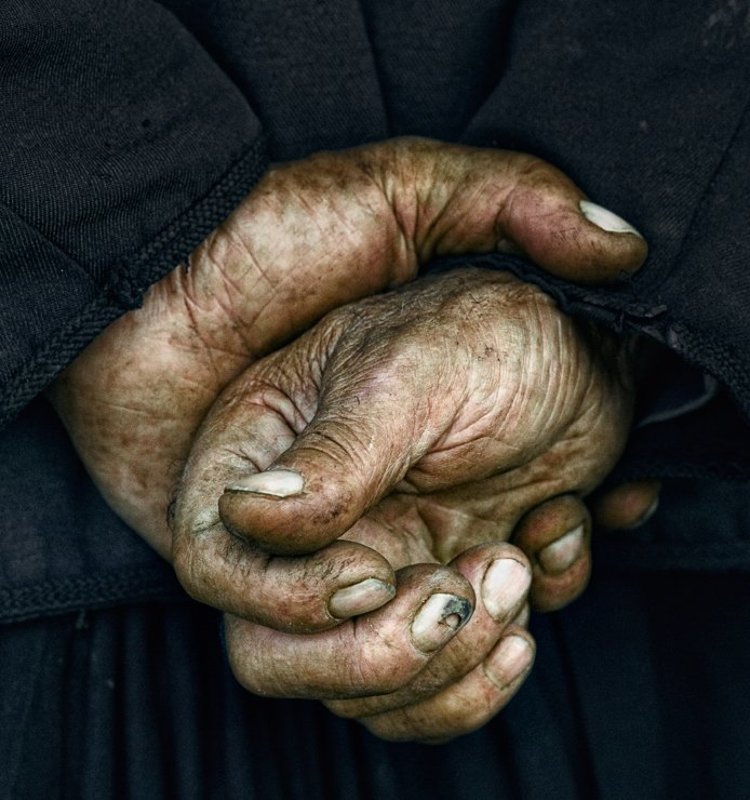 Трудягаphoto preview