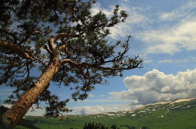 природа,пейзаж,горы,адыгея Адыгея.photo preview