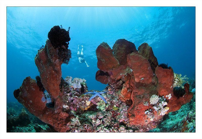 За звездойphoto preview