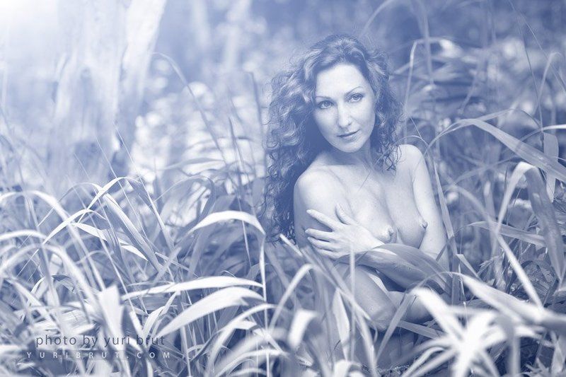 Wood imaginationsphoto preview