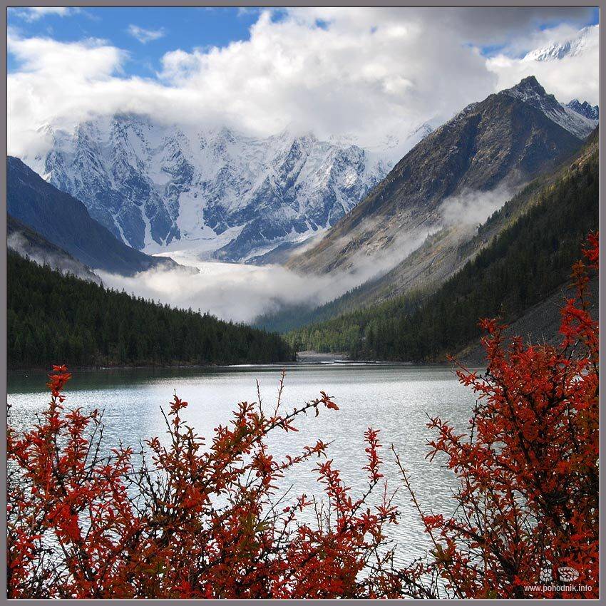 Пробуждение Маашея. Автор: Походник , Походник