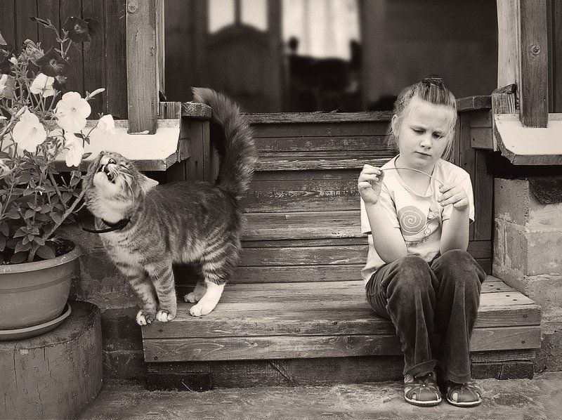 хороший денекphoto preview