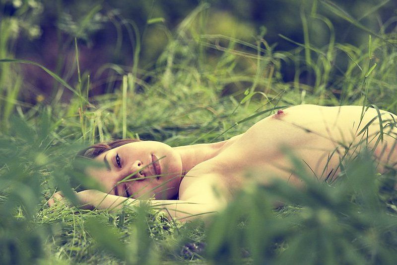 лето,природа,трава,жара,сон,нега,девушка,альфред,микус засыпая в летеphoto preview