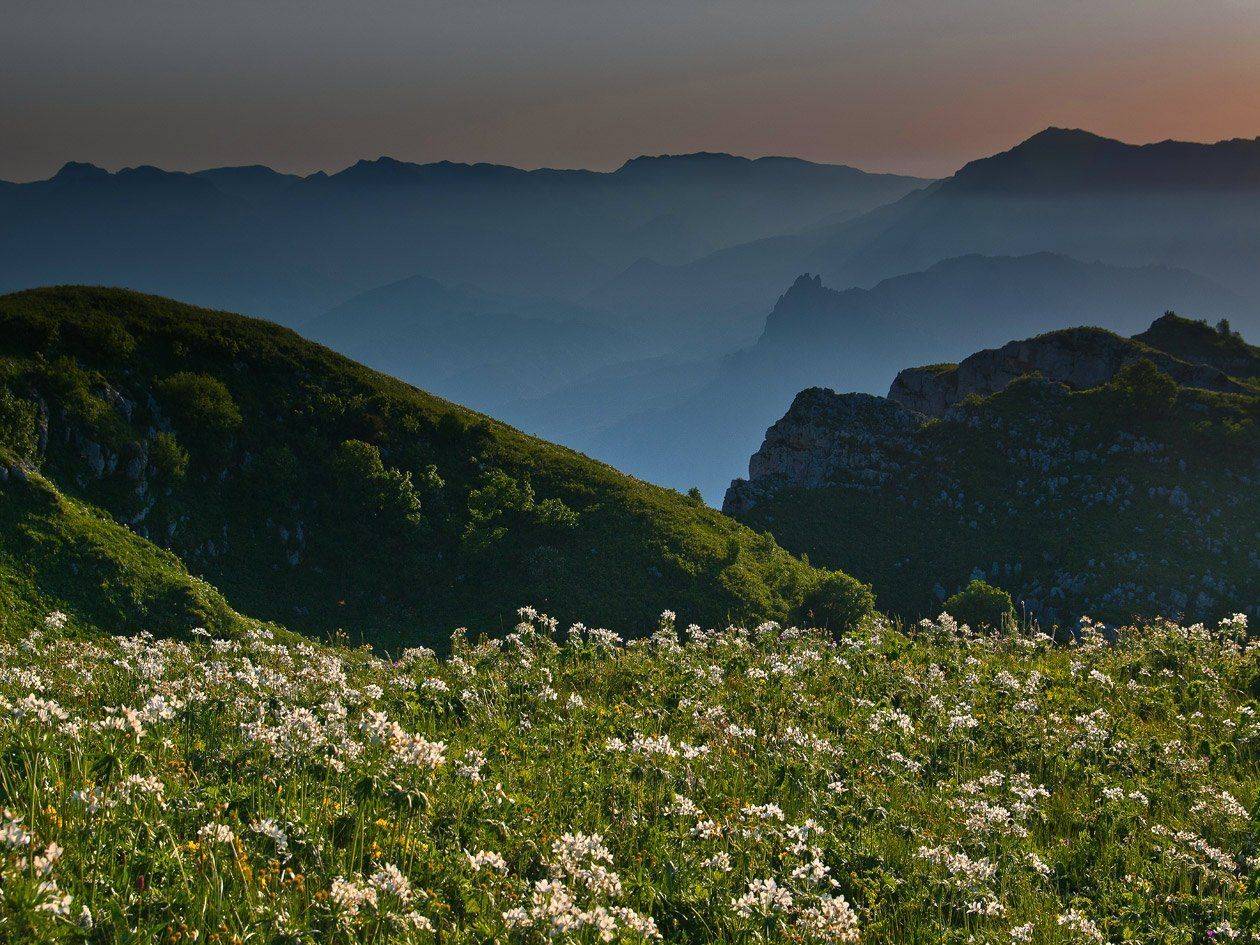 Перед закатом-2. Автор: фёдор горы, , кавказ, , черногор, фёдор