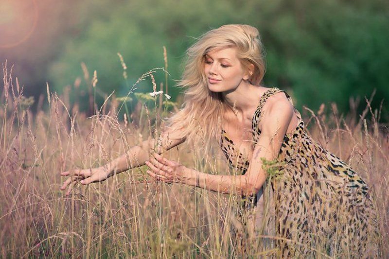 Сафариphoto preview