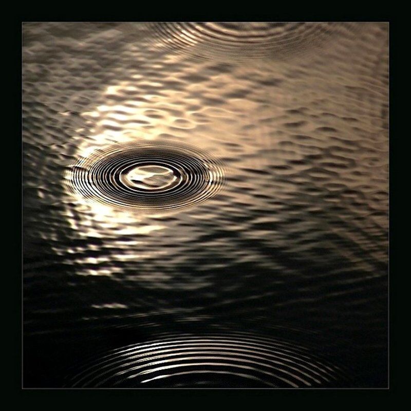 Fish eyephoto preview