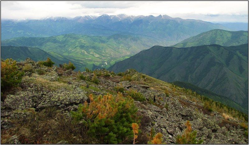 алтай, кара-тюрек Краски Алтаяphoto preview