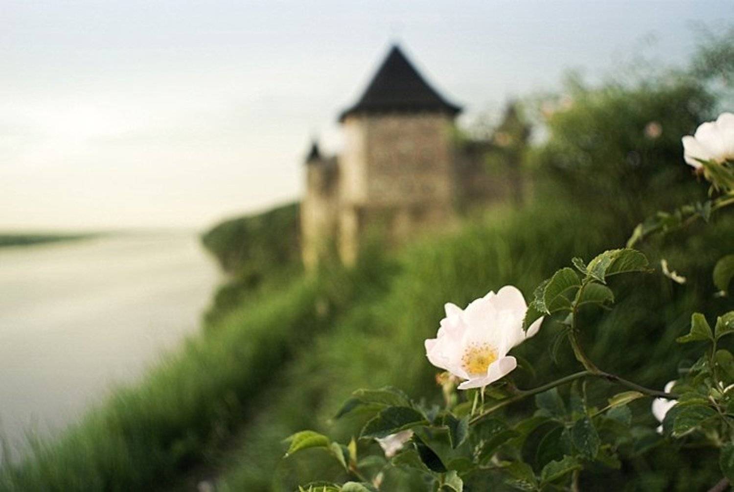 Хотин. Автор: mikedrebet хотин, крепость, днестр, mikedrebet