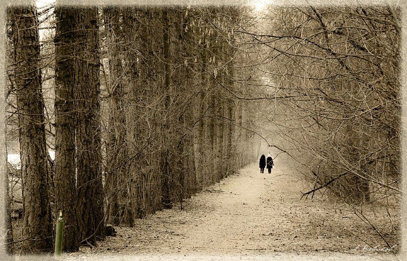 Куда-то...photo preview