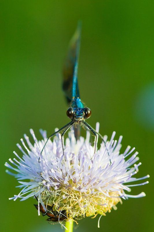 Хватит там стесняться, вылазь давай.photo preview