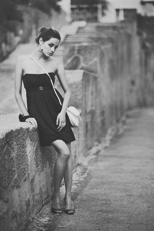 Бомбейские кошкиphoto preview