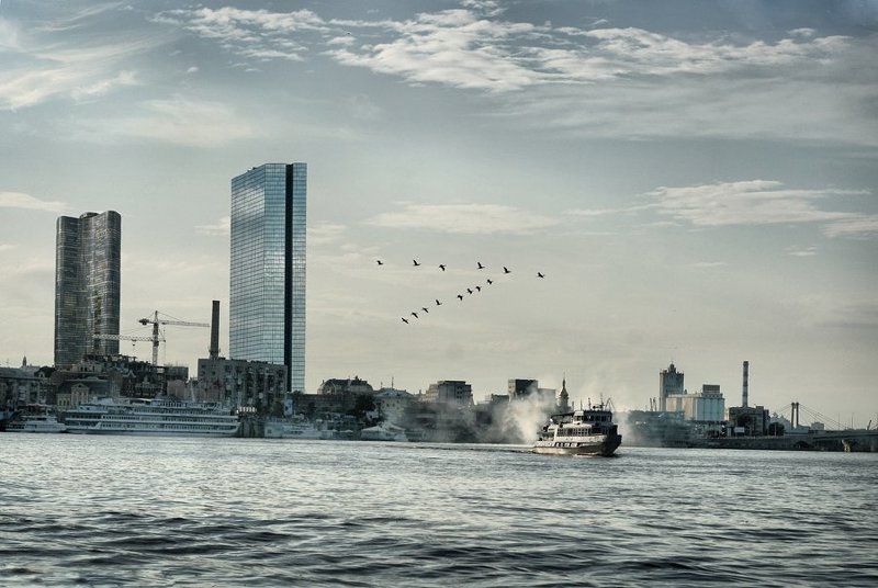 Киев - Бруклинphoto preview