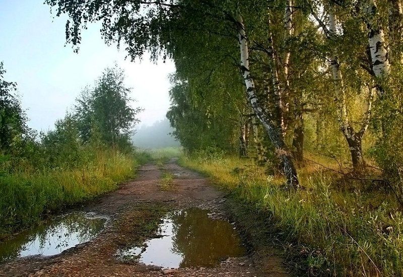 На опушке ...photo preview