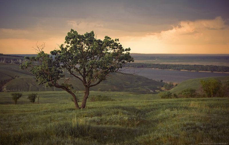 Куда приводят мечтыphoto preview