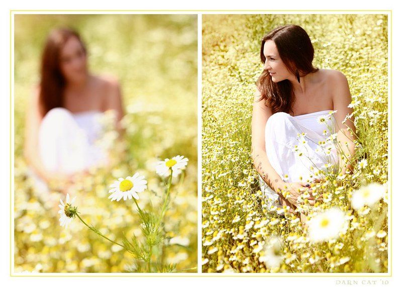 camomilles, ромашки, портрет, девушка, лето, солнце Camomilles фото превью