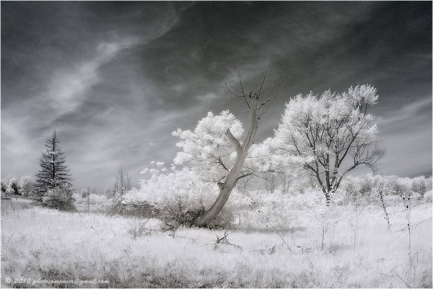 Almost untouchable..... Автор: Pilgrim pilgrim, инфракрасный, infrared, Pilgrim