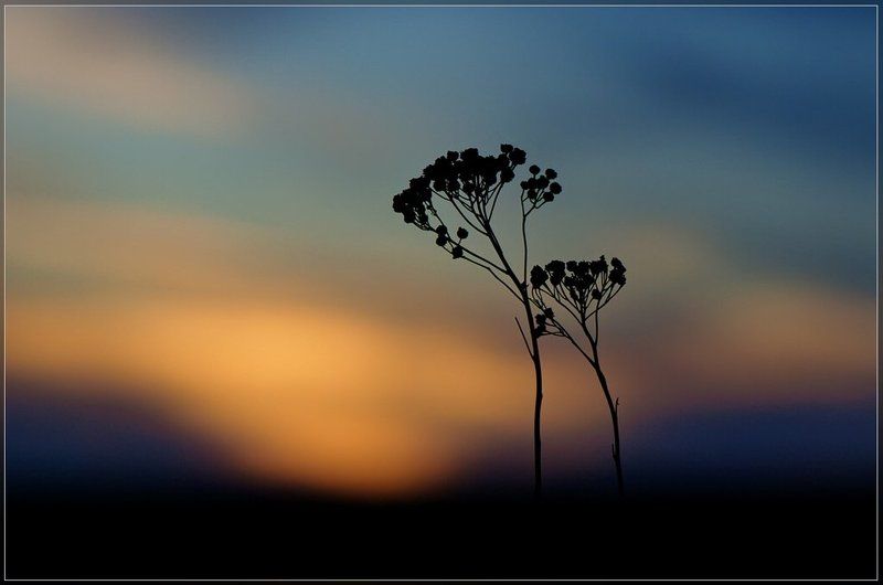 С любимыми не расставайтесь...photo preview