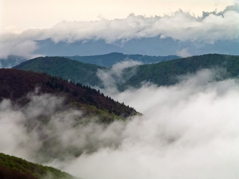 ... фото превью