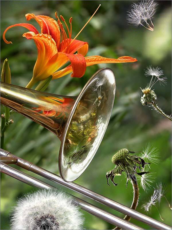 Тромбон фото превью