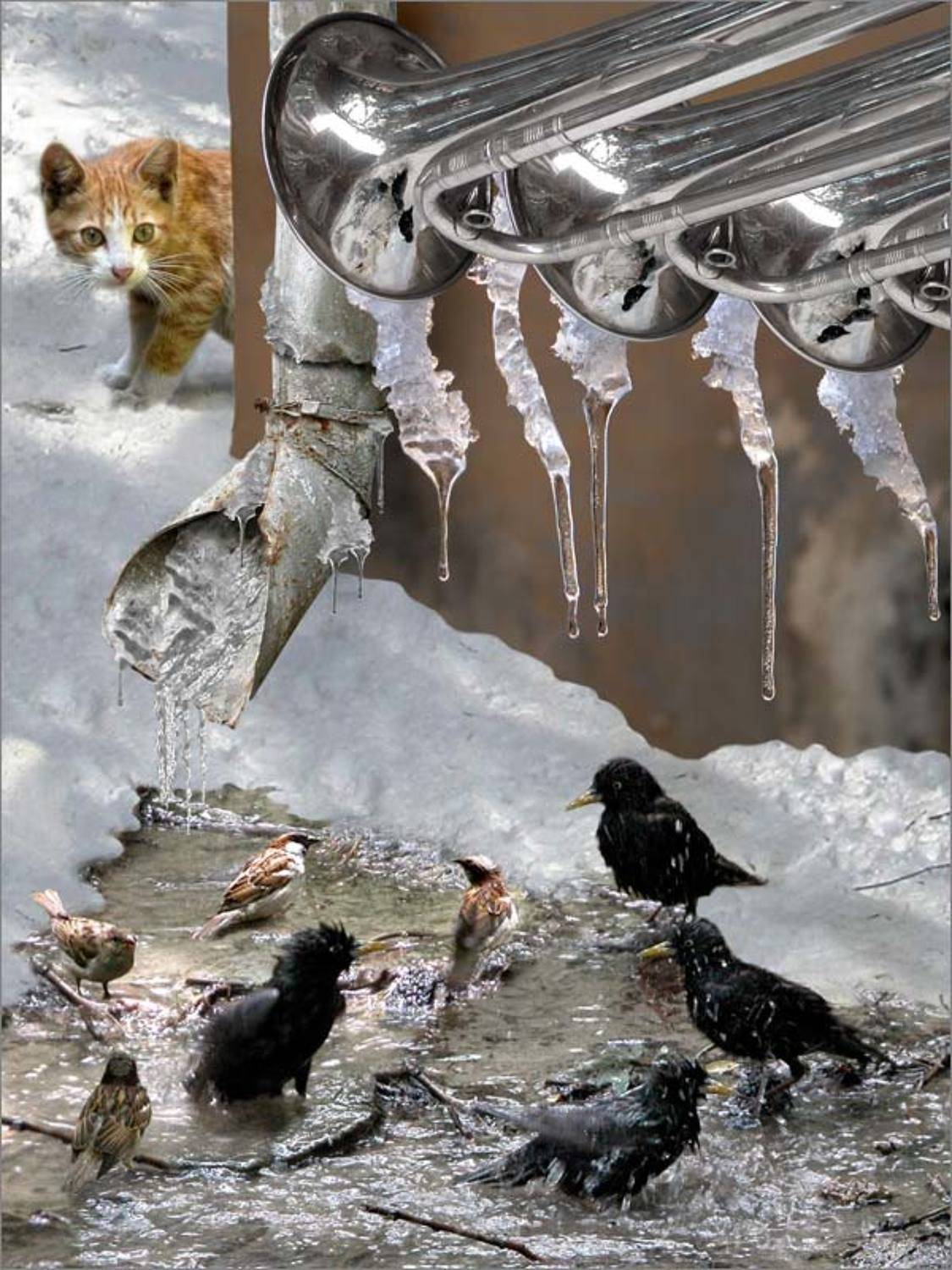 , Valentin Sichinskiy