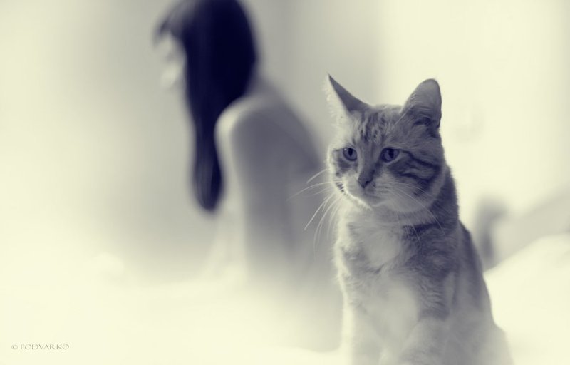 Противостояниеphoto preview