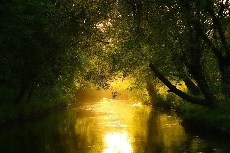 пейзаж Летний закат на Яузеphoto preview