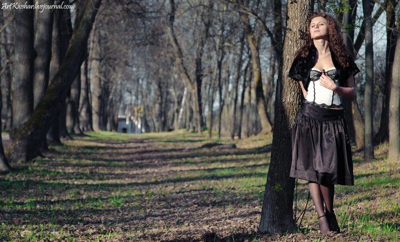 весна, аллея, прохлада Shady avenuephoto preview