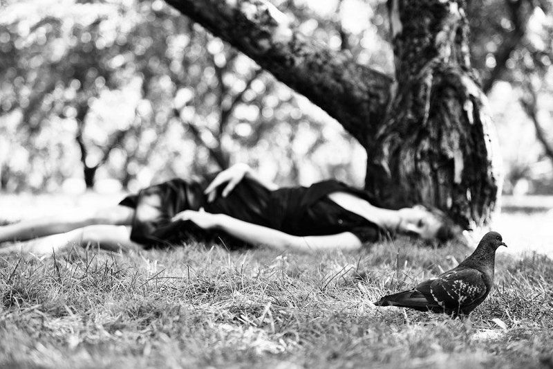 Supernatural. фото превью